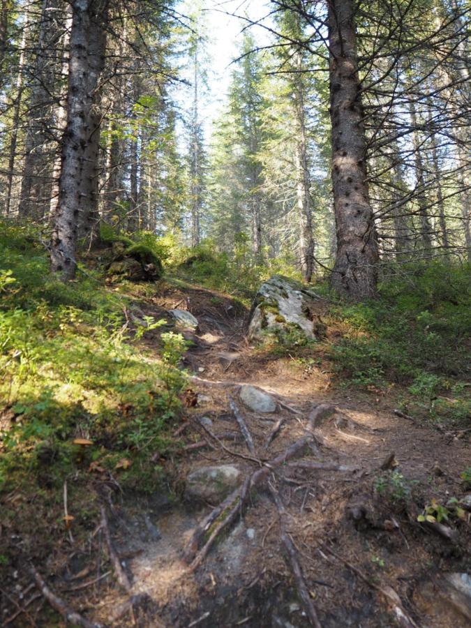Han Sylte Heimen Fauske Bagian luar foto